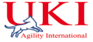 uk agility international